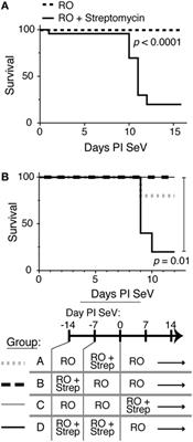 Intestinal Microbiota Disruption Reduces Regulatory T Cells and Increases Respiratory Viral Infection Mortality Through Increased IFNγ Production